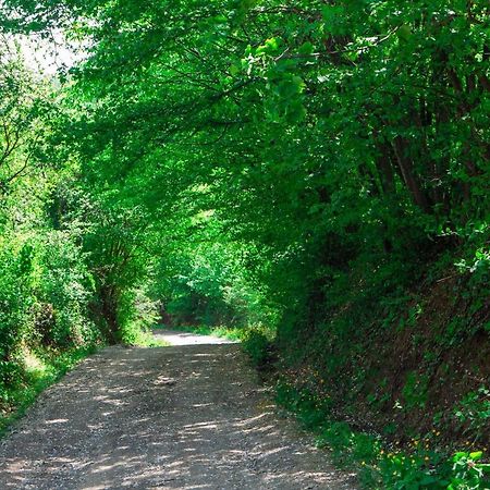 Na Okic - A Private Forest Oasis Sveti Martin pod Okicem Екстериор снимка