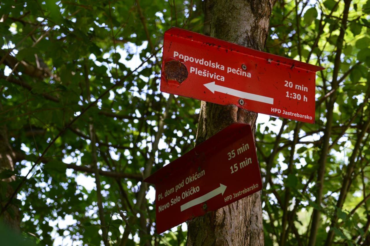 Na Okic - A Private Forest Oasis Sveti Martin pod Okicem Екстериор снимка