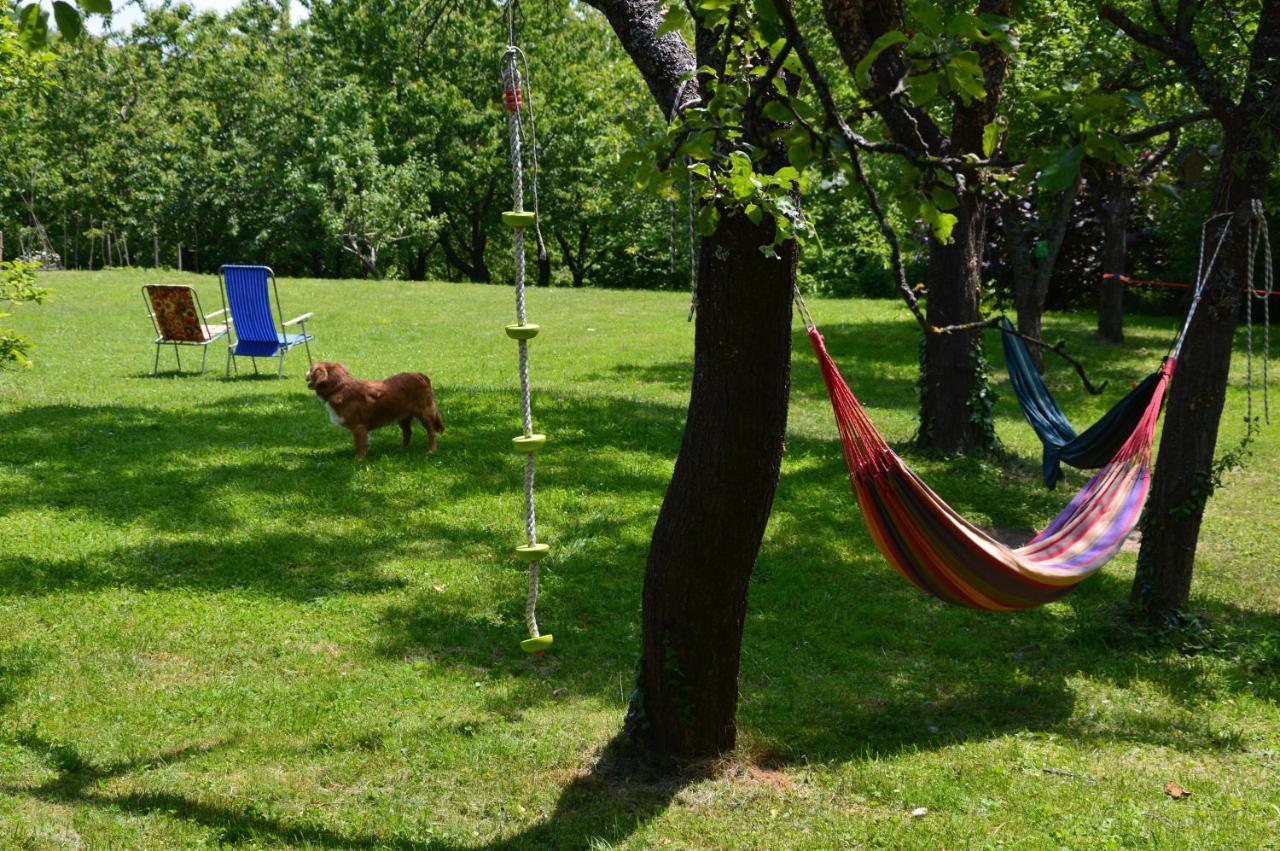 Na Okic - A Private Forest Oasis Sveti Martin pod Okicem Екстериор снимка