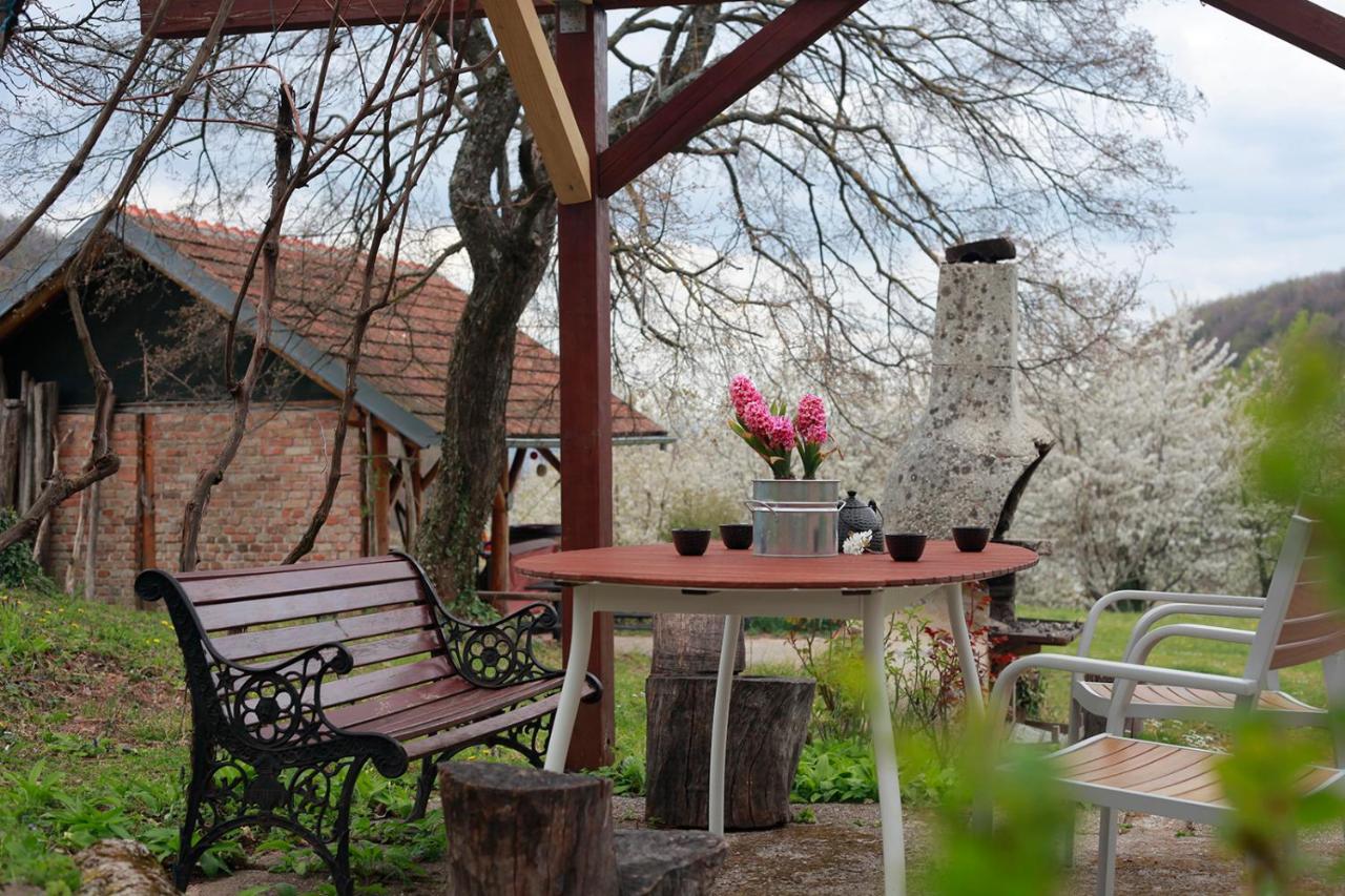 Na Okic - A Private Forest Oasis Sveti Martin pod Okicem Екстериор снимка