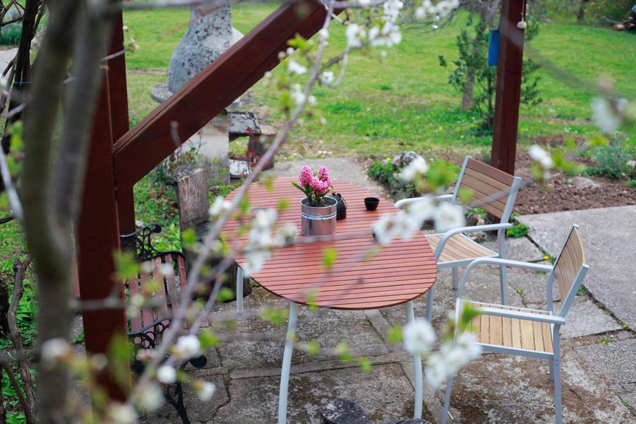 Na Okic - A Private Forest Oasis Sveti Martin pod Okicem Екстериор снимка