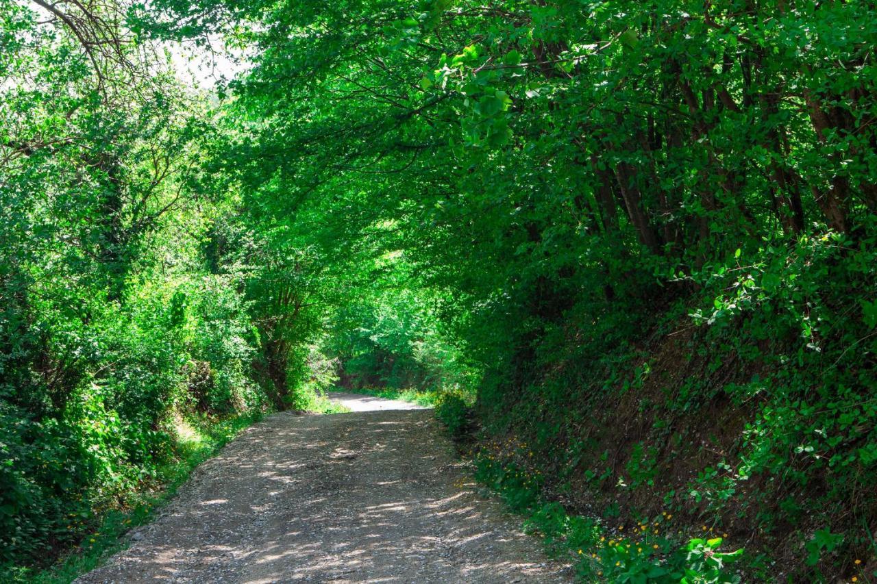 Na Okic - A Private Forest Oasis Sveti Martin pod Okicem Екстериор снимка